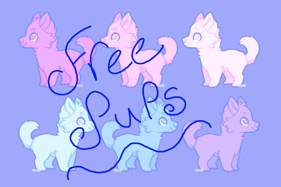 Free pups <3