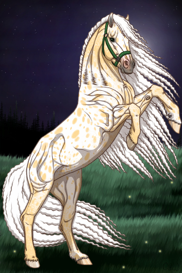 ~❊~ #184 Midnight Stallions ~❊~
