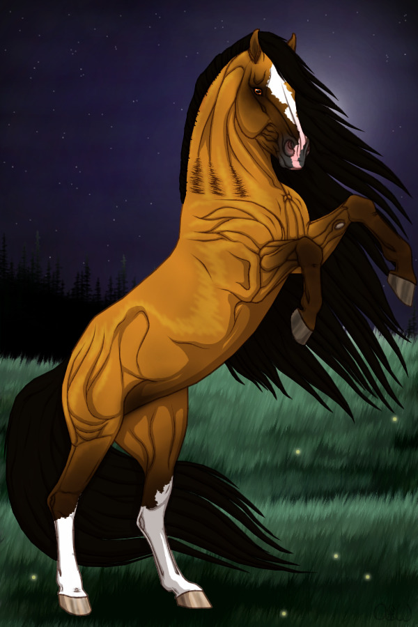 ~❊~ #185 Midnight Stallions ~❊~
