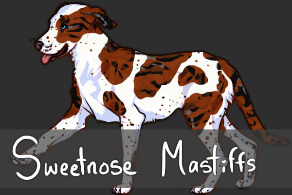 Sweetnose Mastiffs 2.0 - Hiatus