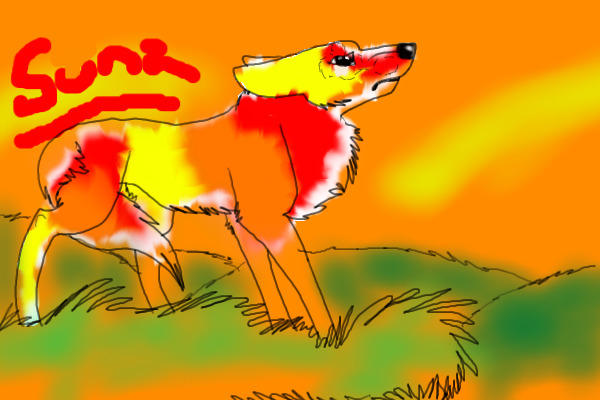 Sunz