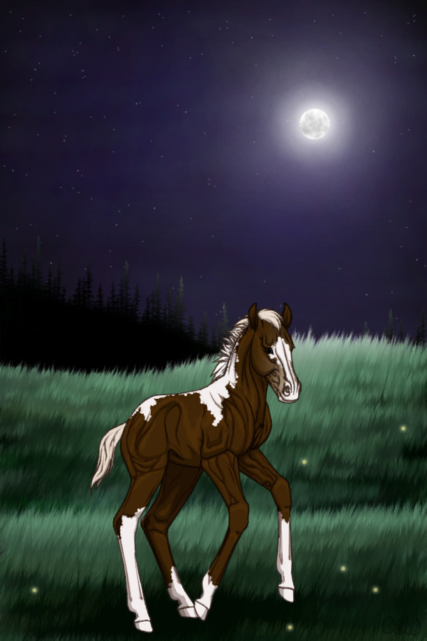 Midnight Stallions #186