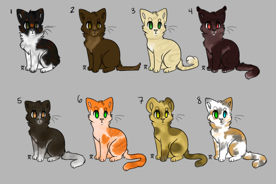 Cheap Cat Adopts!