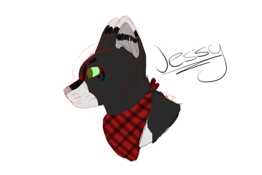 Jessy Doodle