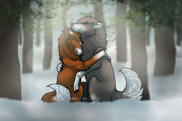 Winter wolf couple