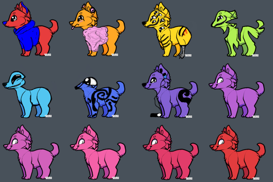 wip dogs for adoption