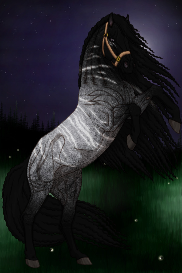 ~❊~ #190 Midnight Stallions ~❊~
