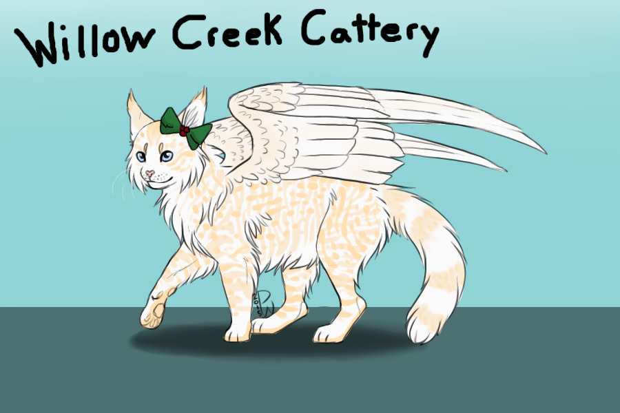 Willow Creek Cattery