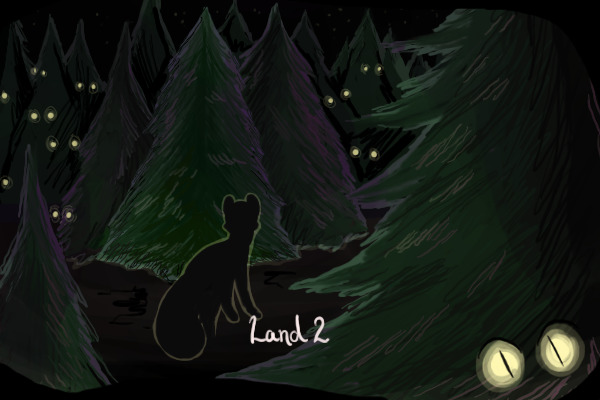 Land 2 // The Forest