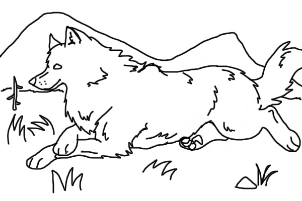 Wolf Color!