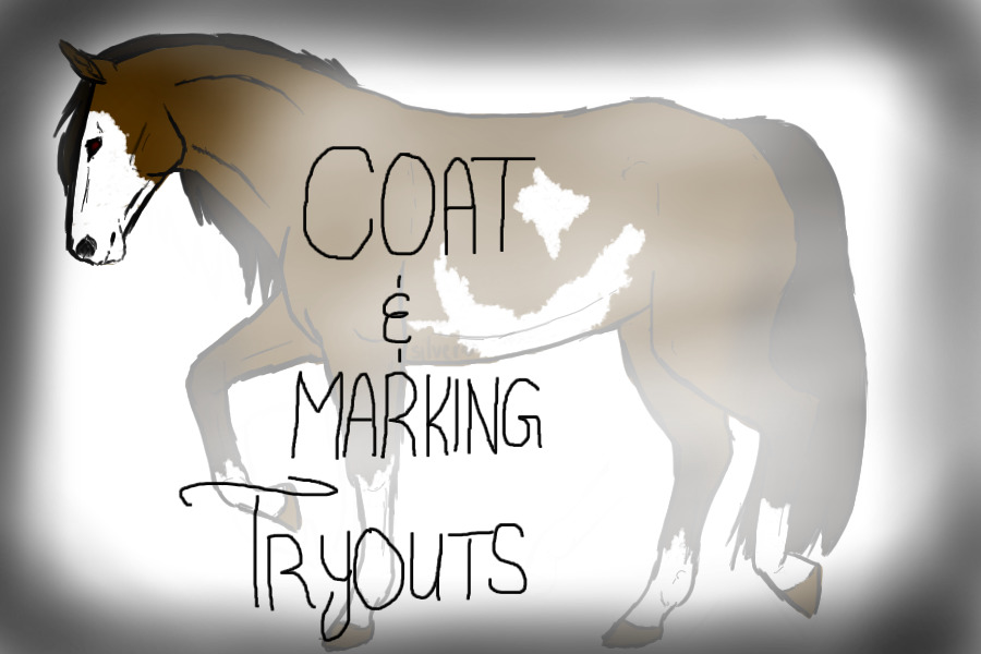 ` Coat & Marking Tryouts `