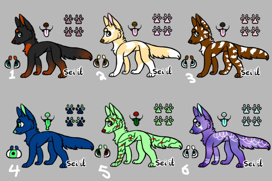 Adopts!