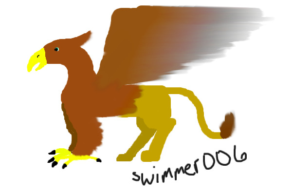 Common Griffon