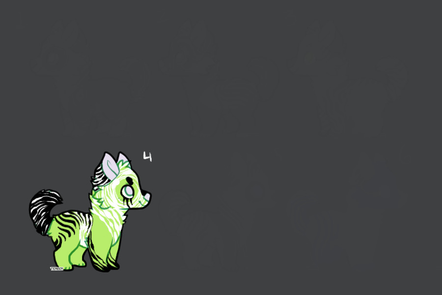 new cutie