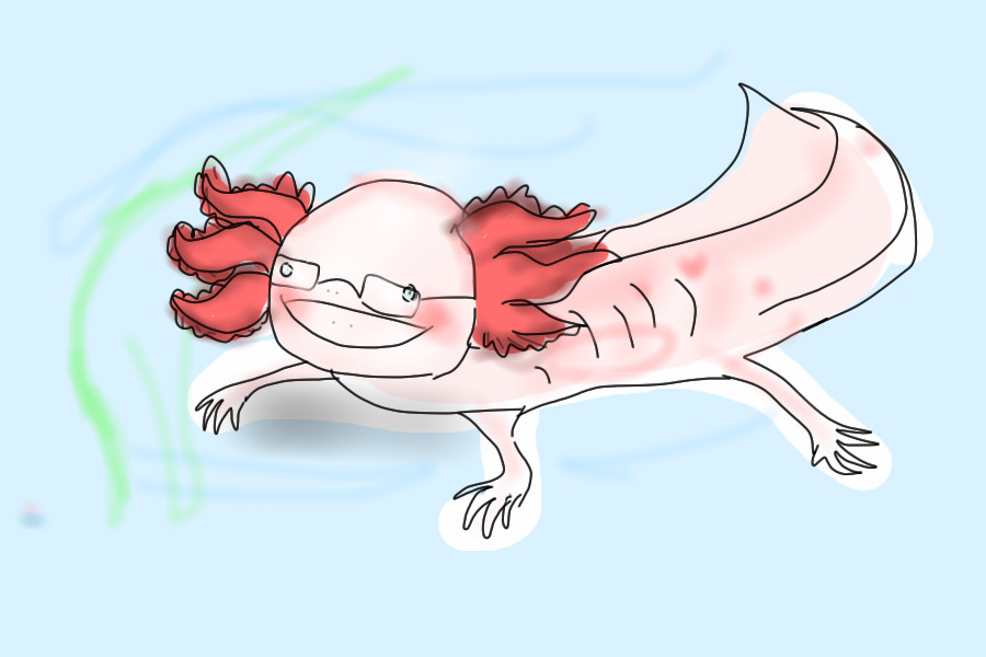 HAPPY AXOLOTL ADOPT