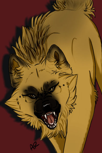 rawr