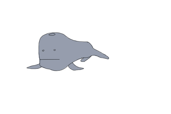 whale whale whale