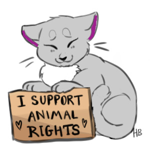 I Support Animal Rights