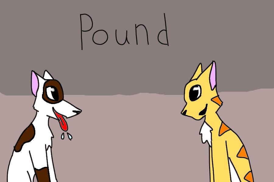 Pound