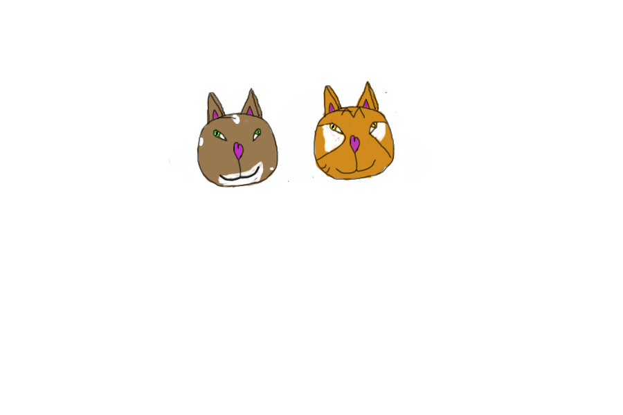 2 Cat Heads (A)