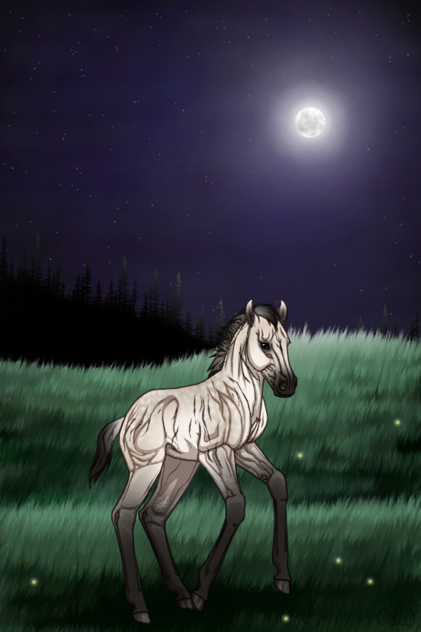 ~❊~ #22 Midnight Stallions Foal ~❊~