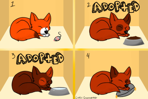 Fox Adoptables