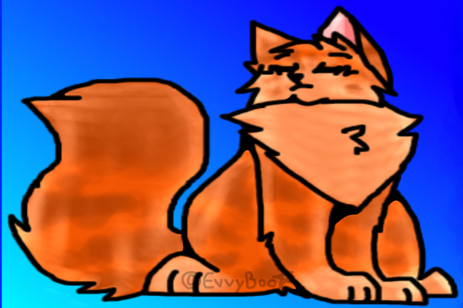 Random Cat