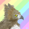 Martial Eagle...Pride?