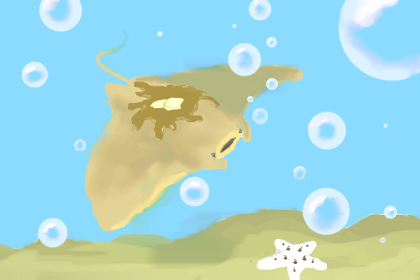 Sea Pancake + Chocolate Chip Starfish <--(real animal!)