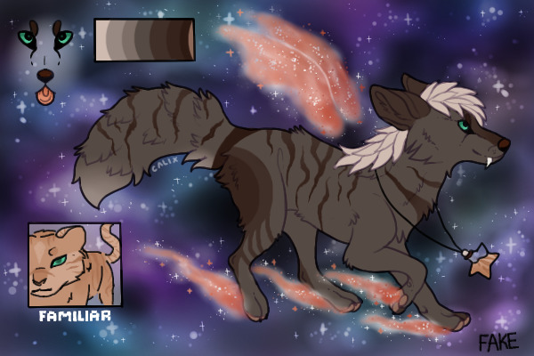 NOVAIR FOXES ★ ARTIST SEARCH ★ ENTRY 3