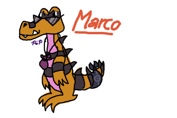 Marco the Krokorok