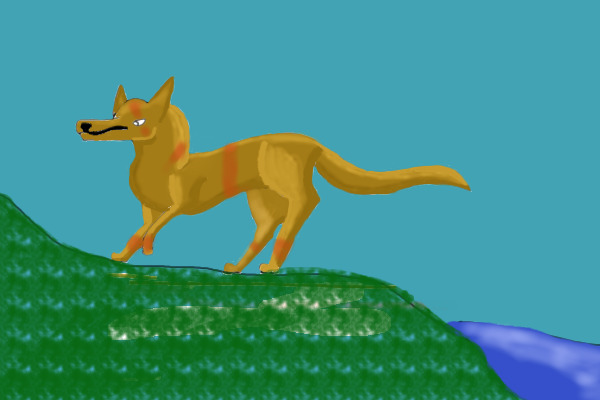 Quick lineless wolf drawing