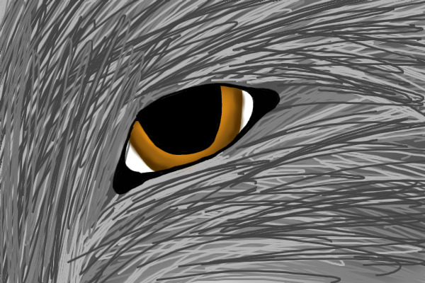 Wolf Eye