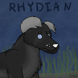 Rhydian Avatar