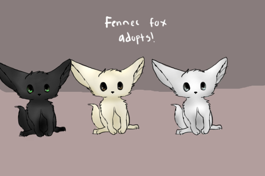 Fennec fox adopts!