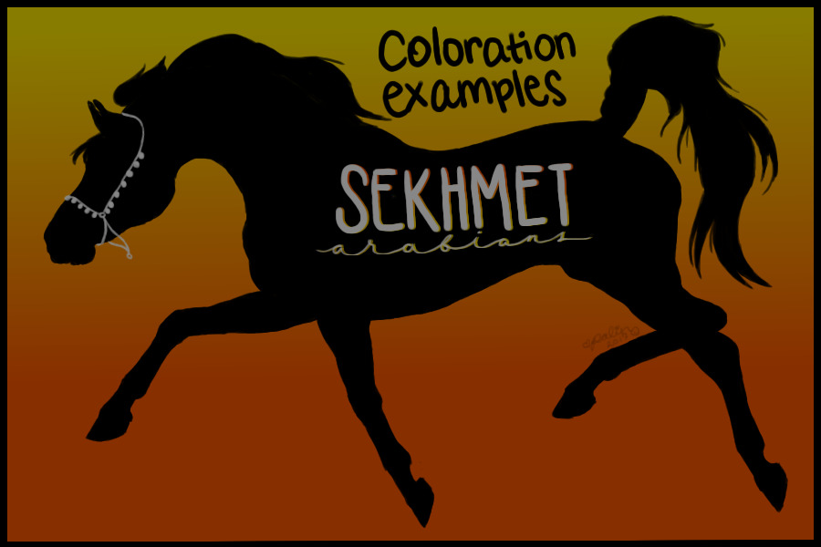 Sekhmet Arabians Coloration Examples