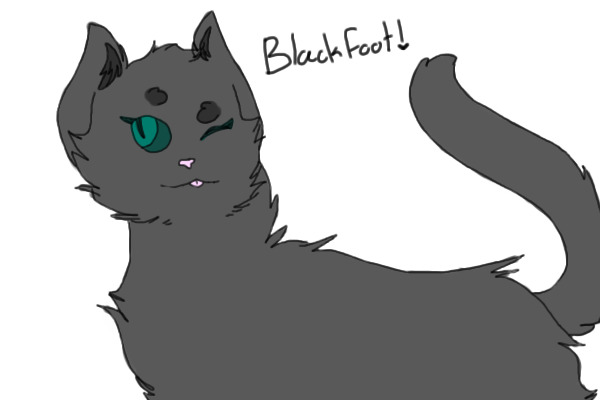 Blackfoot (Fanart)