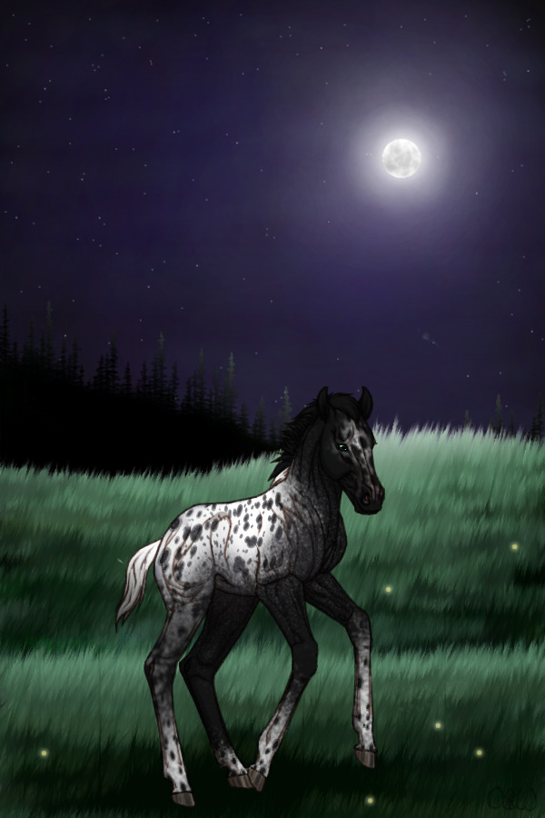 ~❊~ #23 Midnight Stallions Foal ~❊~