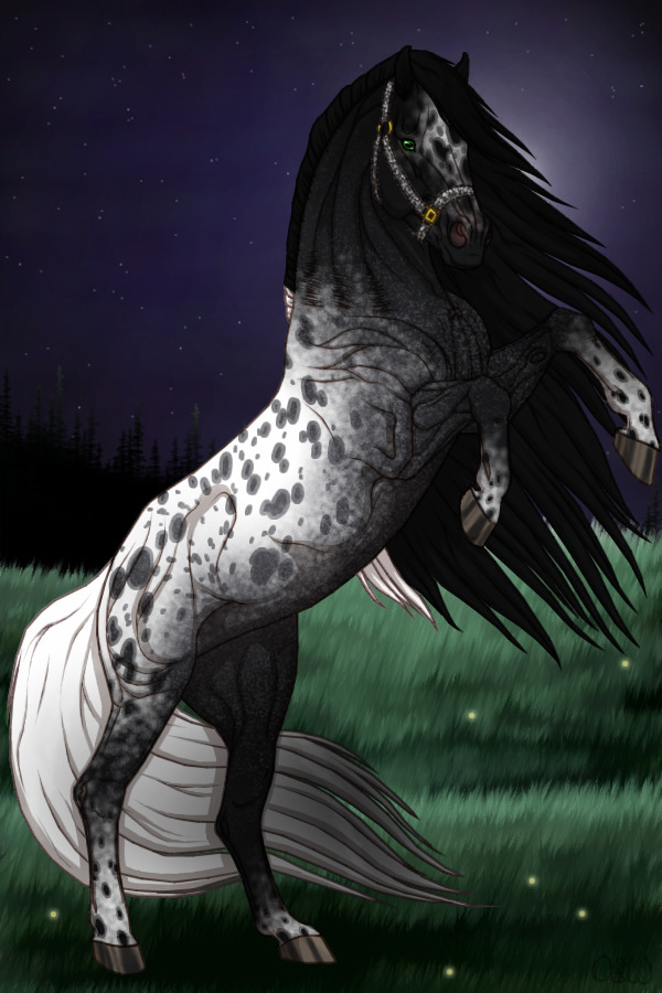 ~❊~ #23 Midnight Stallions Foal (Growth) ~❊~