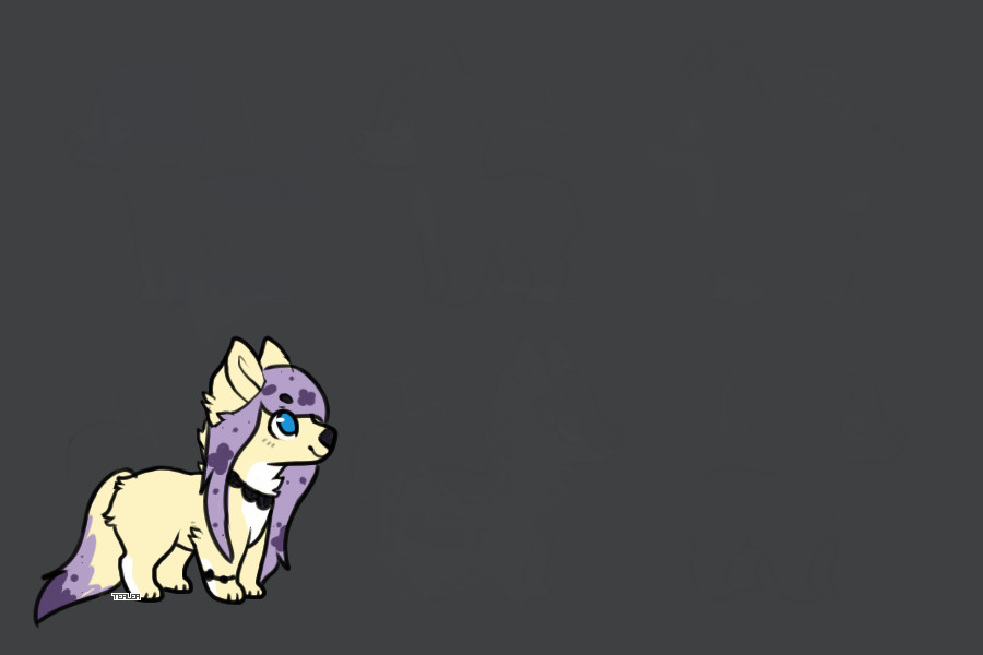 new bab