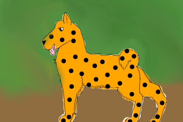 Leopard Akita