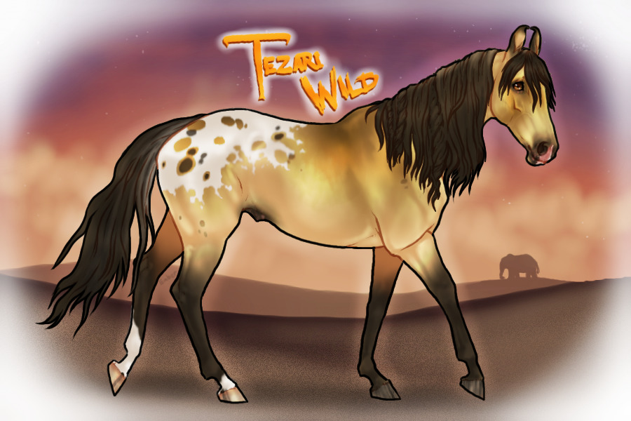 TEZARI WILD - 200 Event!