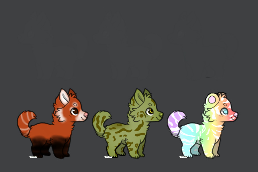 OTA dog adopts!