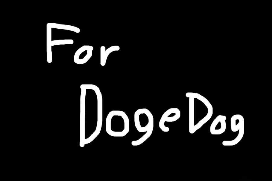 For DogeDog