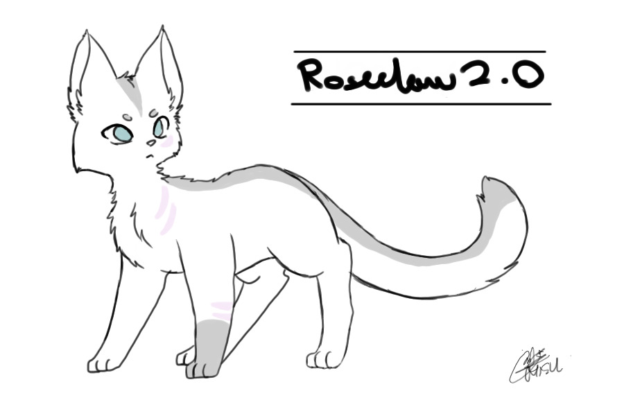 Roseclaw (What she looks like now)