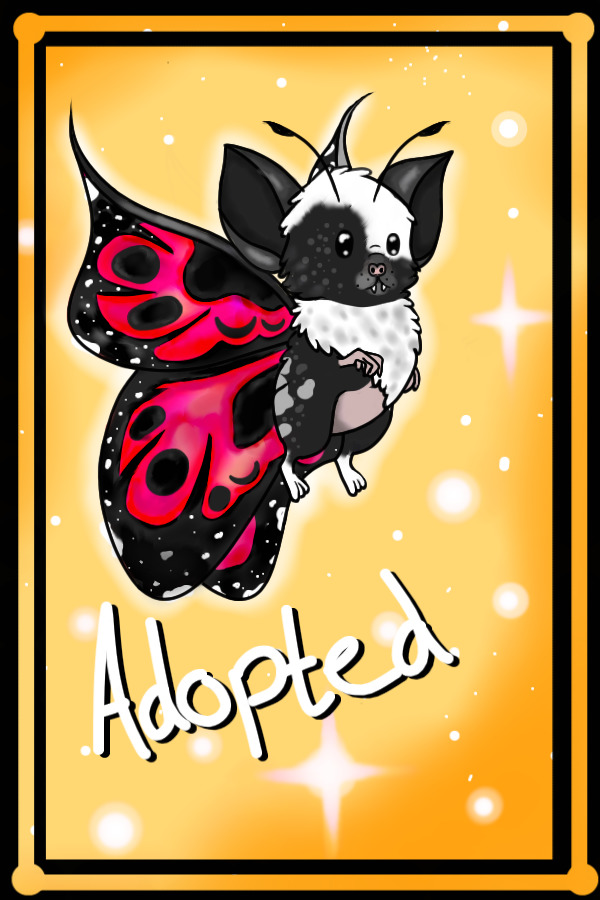 Batterfly #2 - Winner!