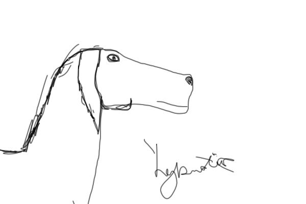 Custom floppy dogs