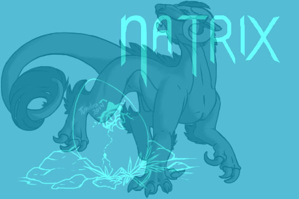 Natrix Dragons, open species!