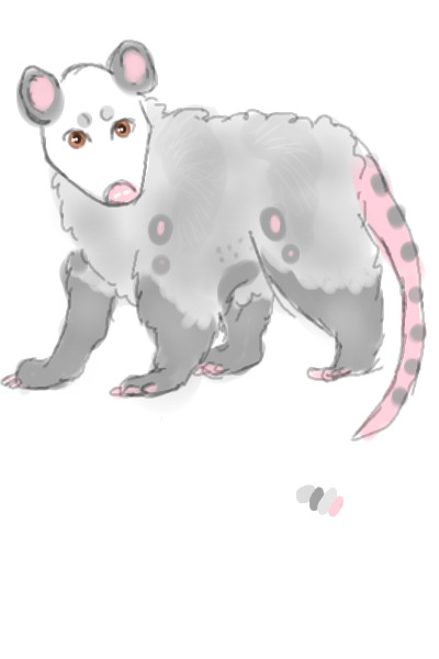 my possum bab