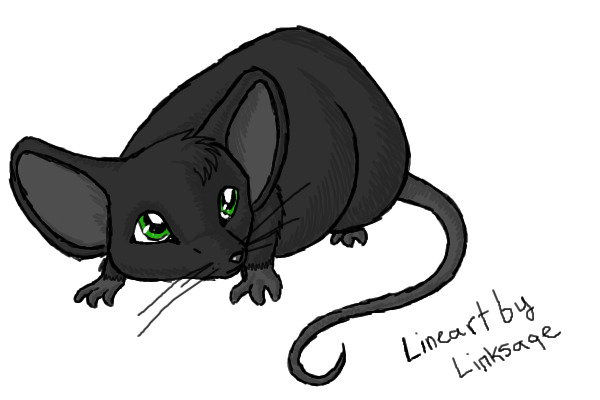 Mouse
